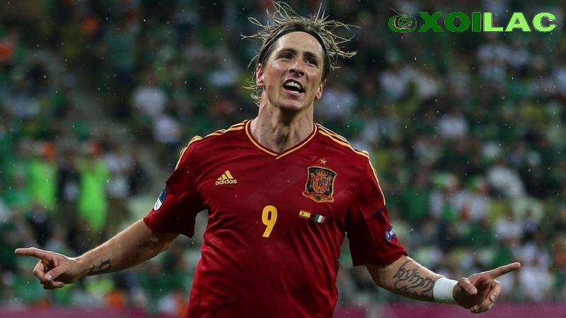 Torres đã giúp Tây Ban Nha đăng quang tại Euro 2008