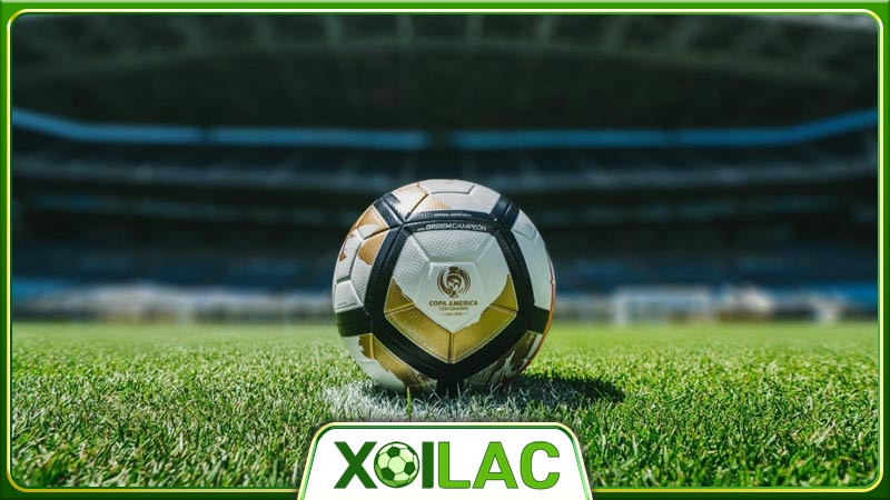 Xoilac TV - xem trực tiếp bóng đá cung cấp đa dạng dịch vụ 